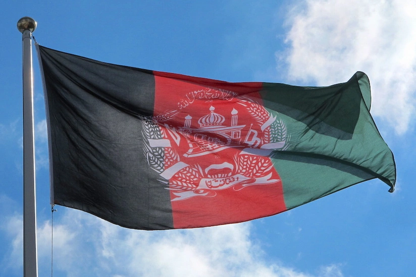 Taliban Avropaya ilk dəfə mal ixrac edib