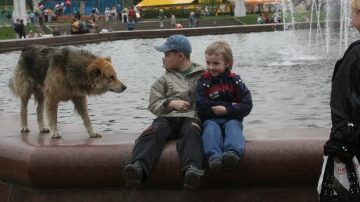 ​Moskvada zoopolislərin yaradılması təklif olunur