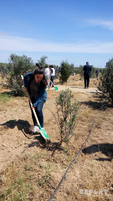 ETSN işçiləri 30 hektar ərazidə iməcilik keçirib