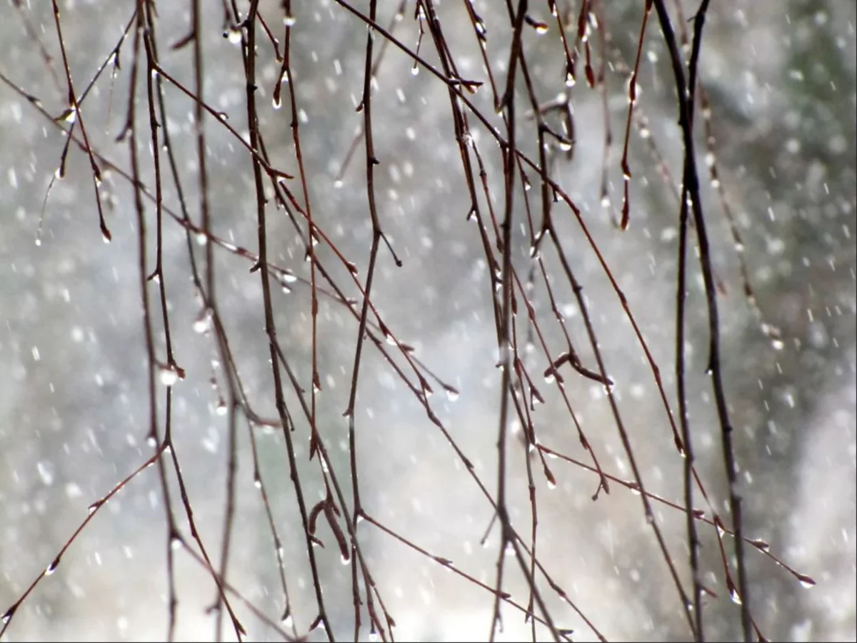 Weather forecast for March 8