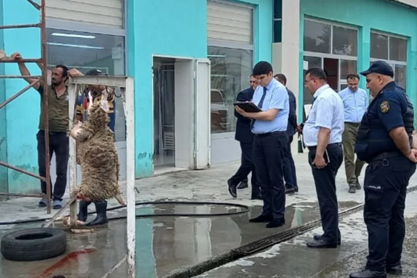 AQTA 15 qanunsuz heyvan kəsimi məntəqəsi aşkarladı - SİYAHI