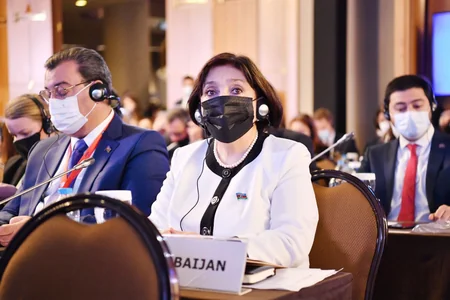 Sahibə Qafarova parlament sədrlərinin Avropa Konfransında çıxış edib