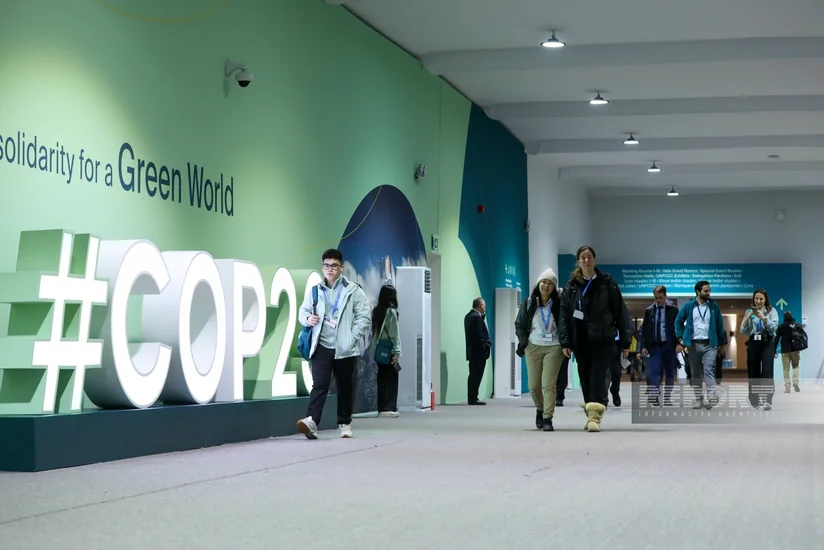 Photos from COP29 Day 8 in Baku