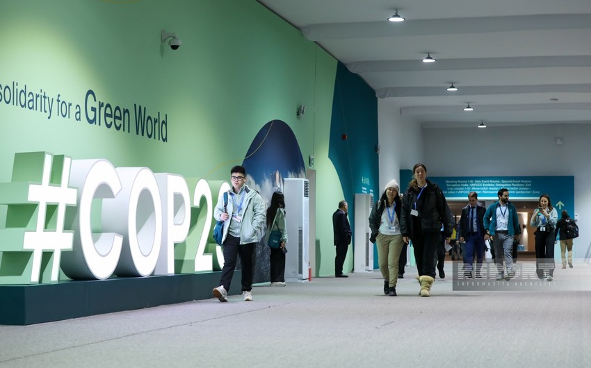 COP29-un səkkizinci günü: qonaqlar məmnundur - FOTOREPORTAJ