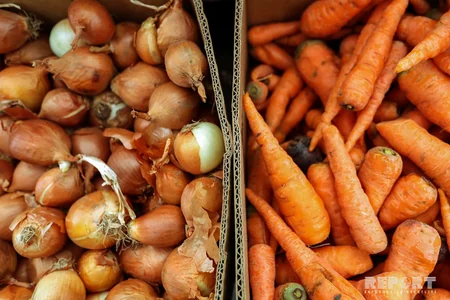 Eldar Əzizov Novruz yarmarkasında olub - FOTO