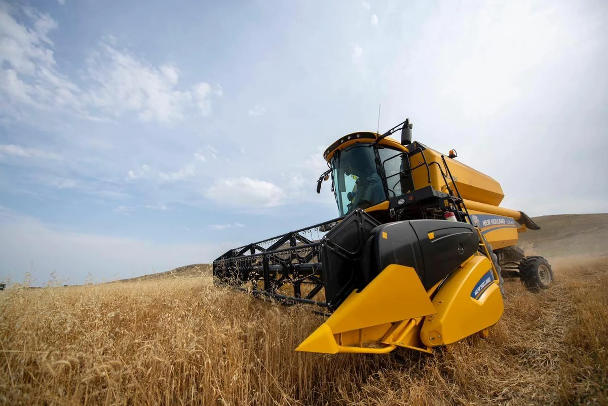 Azərbaycanda taxıl sahələrinin 23 %-də biçin başa çatıb