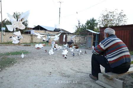 Düşmən bu gün Tərtərə 69 top mərmisi atıb