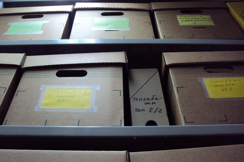 Fransada Azərbaycan Cümhuriyyətinin yaradıcılarına həsr edilmiş “Prometey hərəkatı” adlı kitab hazırlanır