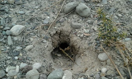 ​Tərtərdə partlamamış hərbi sursatlar aşkar olunub