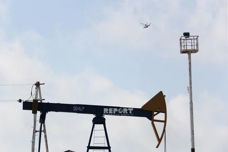SOCAR növbəti genişmiqyaslı ağacəkmə kampaniyasına start verib - FOTOREPORTAJ