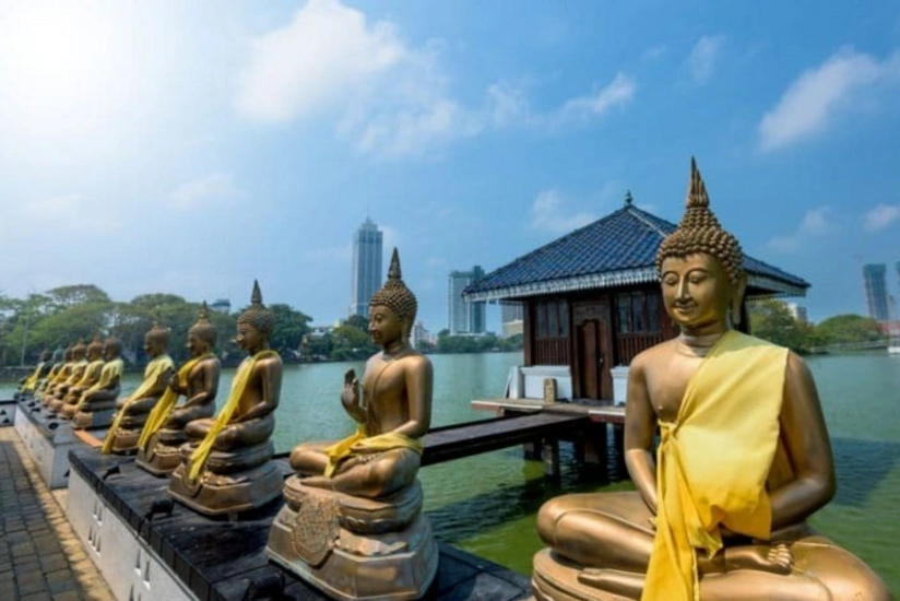 На Шри-Ланке ввели комендантский час