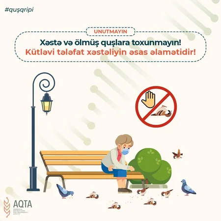 AQTA quş qripi xəstəliyi bağlı əhaliyə xəbərdarlıq edib