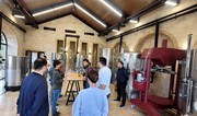 Итальянские эксперты ознакомились с традициями виноделия в Азербайджане 