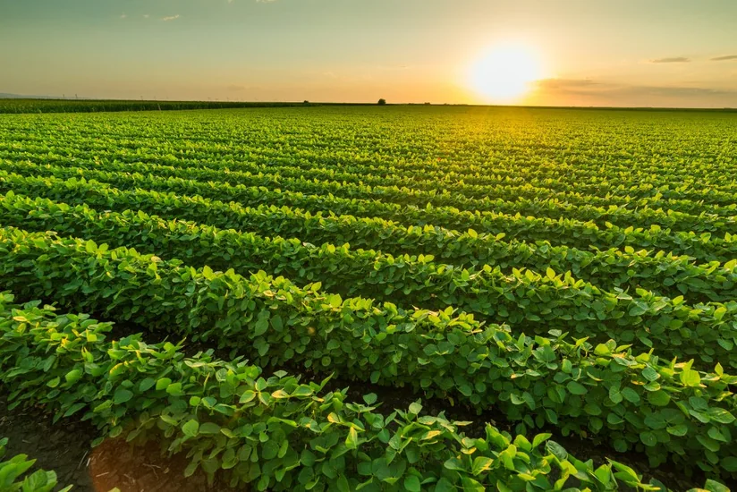 Sahəsi 10 hektardan çox olan fermer torpaqları aqrokimyəvi analizdən keçir