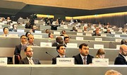 FHN-in nümayəndəsi Cenevrədə BMT-nin Qlobal Platformasında iştirak edib