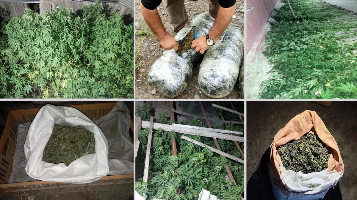Sabirabadda son bir ayda müxtəlif cinayətləri törətməkdə şübhəli bilinən 44 nəfər saxlanılıb