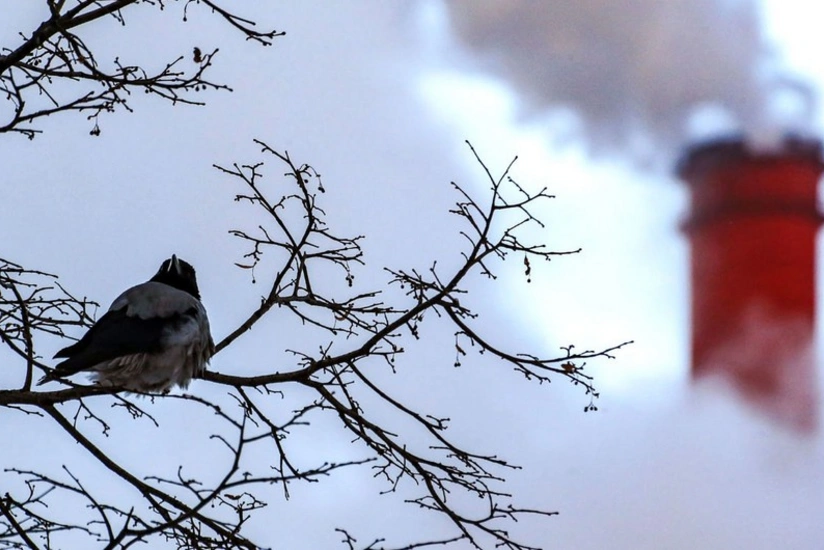 Majority of recent CO2 emissions linked to just 57 producers