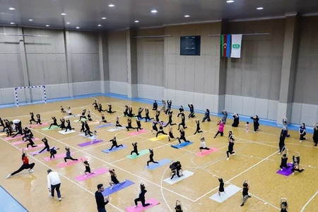 Naxçıvanda gimnastlar üçün ustad dərsi keçirilib