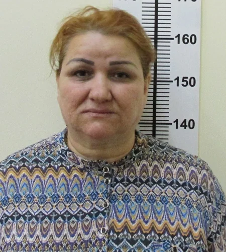 Mütəşəkkil cinayətkar qrupların külli miqdarda narkotik vasitələri ölkəyə gətirmələrinin qarşısı alınıb