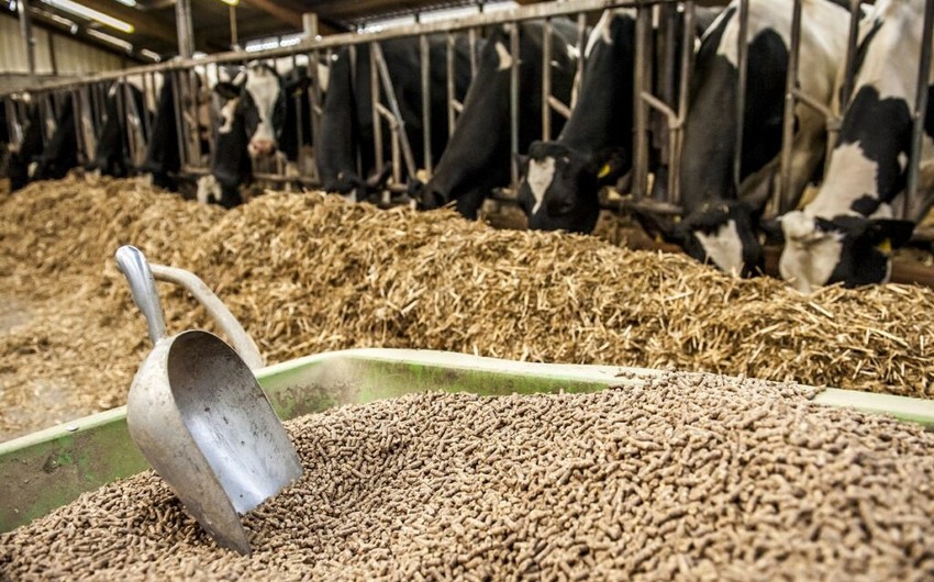 Azerbaijan resumes animal feed exports to Uzbekistan