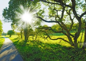 Azerbaijan weather forecast for August 19