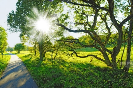 Azerbaijan weather forecast for August 19