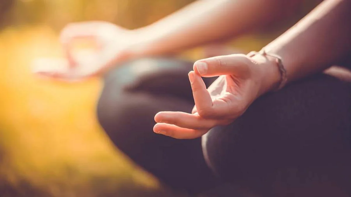 Scientists reveal effects of meditation on brain functioning