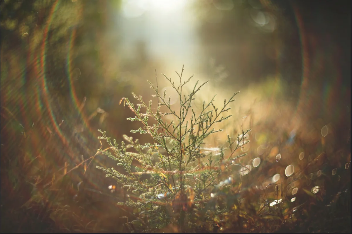 Weather forecast for holidays in Azerbaijan announced