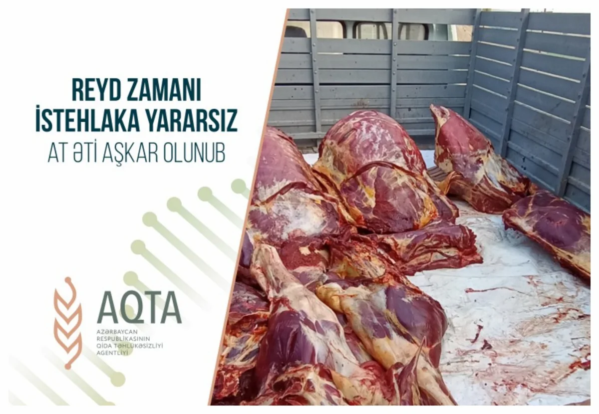 İsmayıllıda istehlaka yararsız 300 kiloqram at cəmdəyi aşkarlanıb