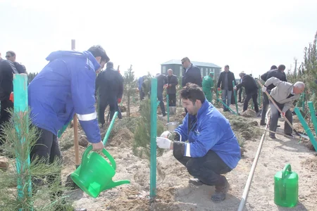 Balaxanı tullantı poliqonunda 1000 ədəd ağac əkilib - FOTO