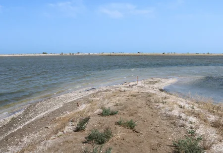 Директор Абшеронского нацпарка: Несмотря на колебания уровня воды, рельеф косы Шах-дили не меняется