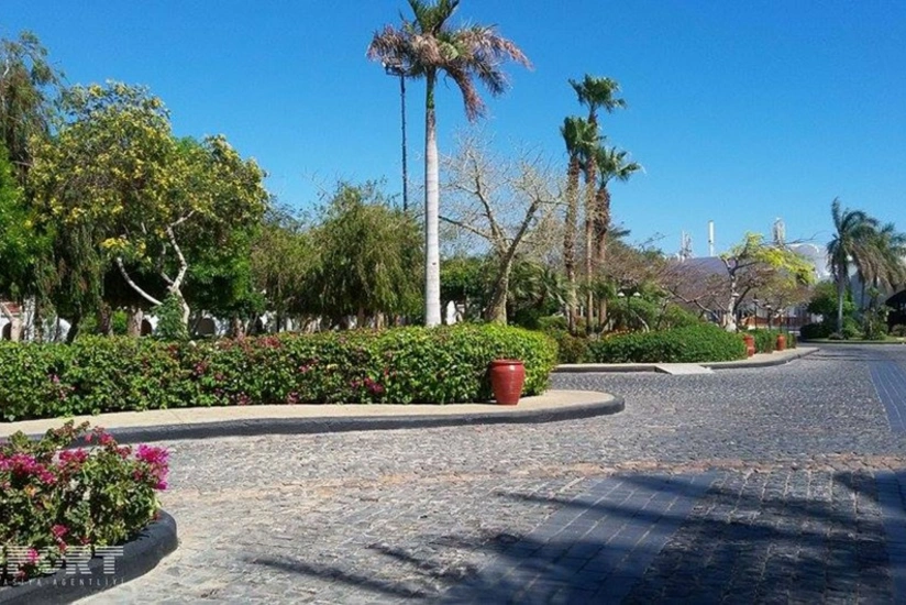 Misir Prezidenti ilə İsrailin Baş naziri Şarm-əş-Şeyxdə görüşüb