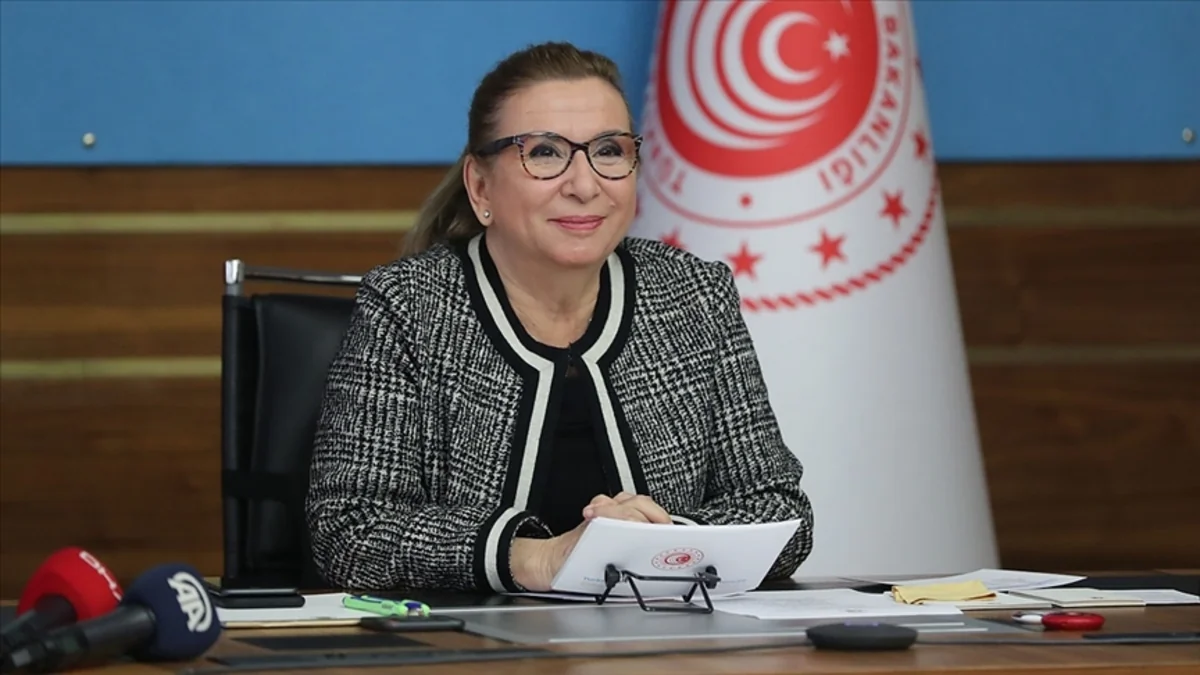 Türkiyəli nazir: “Azərbaycanlı qardaşlarımızın yanında olacağıq”
