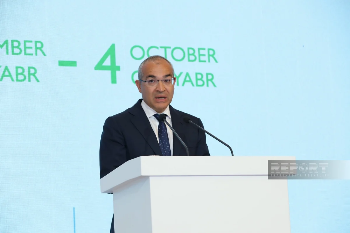 İqtisadiyyat naziri: Qlobal qalıq yanacaq subsidiyaları 7 trilyon dollara çatıb