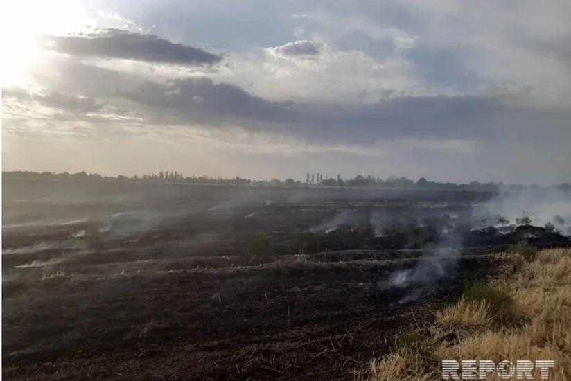 В Шабранском районе произошел пожар на скошенном поле