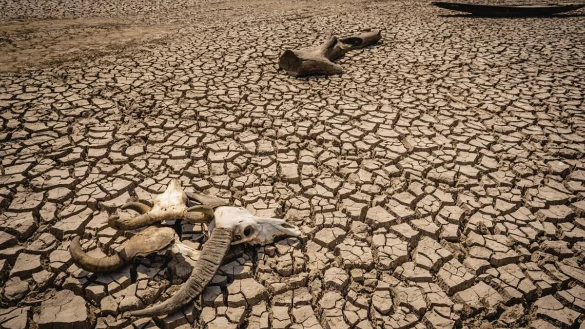 Засуха в Сомали стала самой сильной за 40 лет