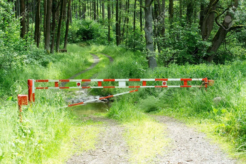 В шести районах Азербайджана установлены шлагбаумы на въездах в леса - СПИСОК
