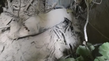 Ermənilərin Tovuzun kəndinə atdığı top mərmisi zərərsizləşdirilməsi üçün götürülüb