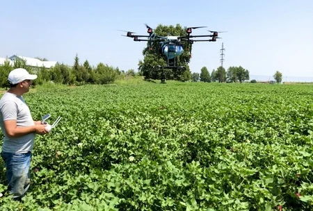 Azərbaycanda ilk dəfə olaraq dron vasitəsilə kimyəvi mübarizə aparılıb