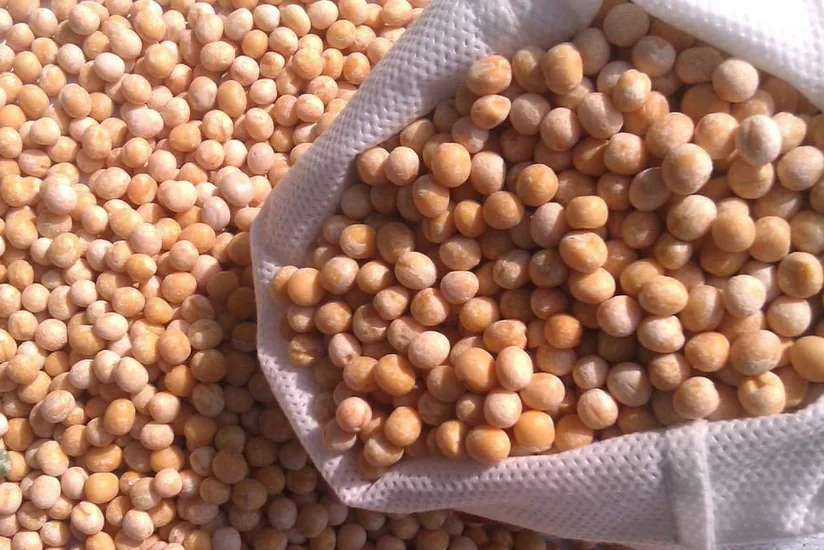 Azərbaycan Rusiyadan noxud tədarükünü kəskin artırıb