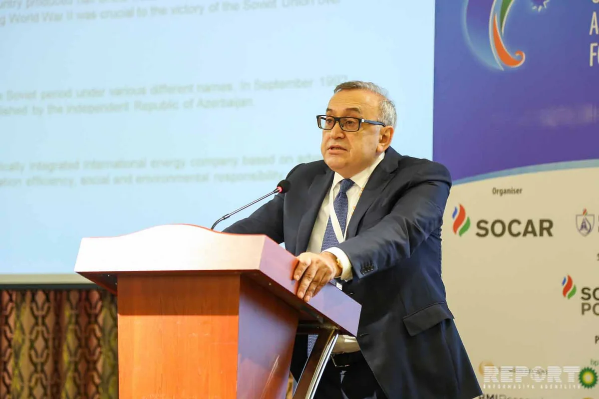 SOCAR official: Talks underway with foreign companies on joint development of Umid and Babek fields