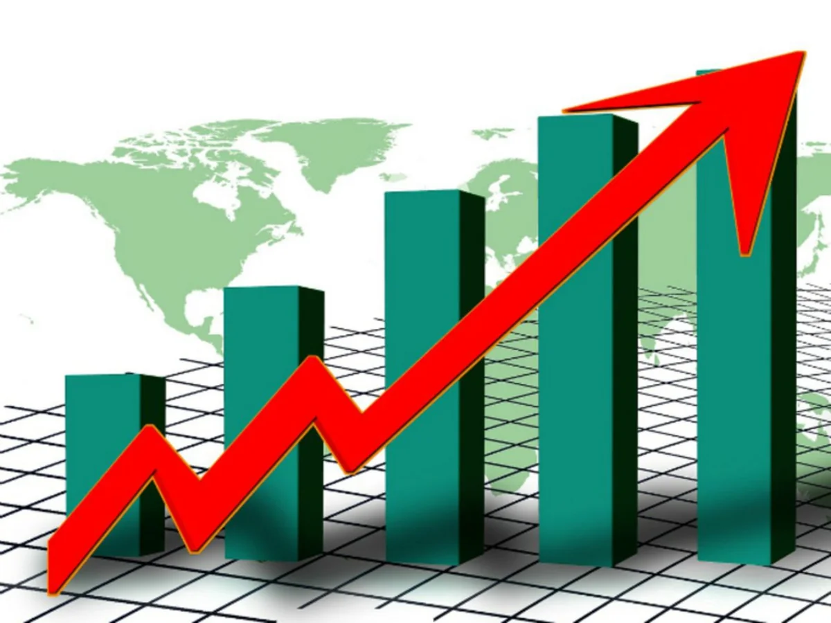 Годовая инфляция в Турции ускорилась до 54,44%