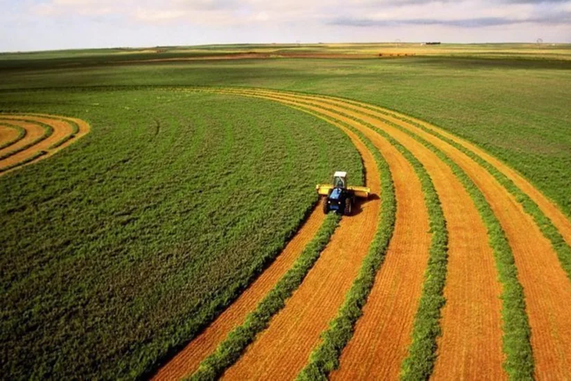 Украина снимает мораторий на продажу земли