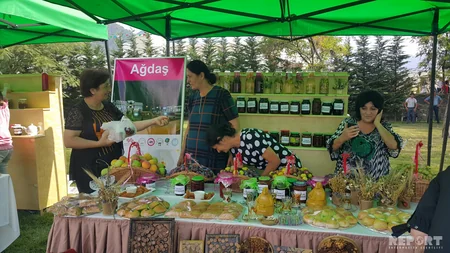 Gabala today hosts the V International Jam Festival