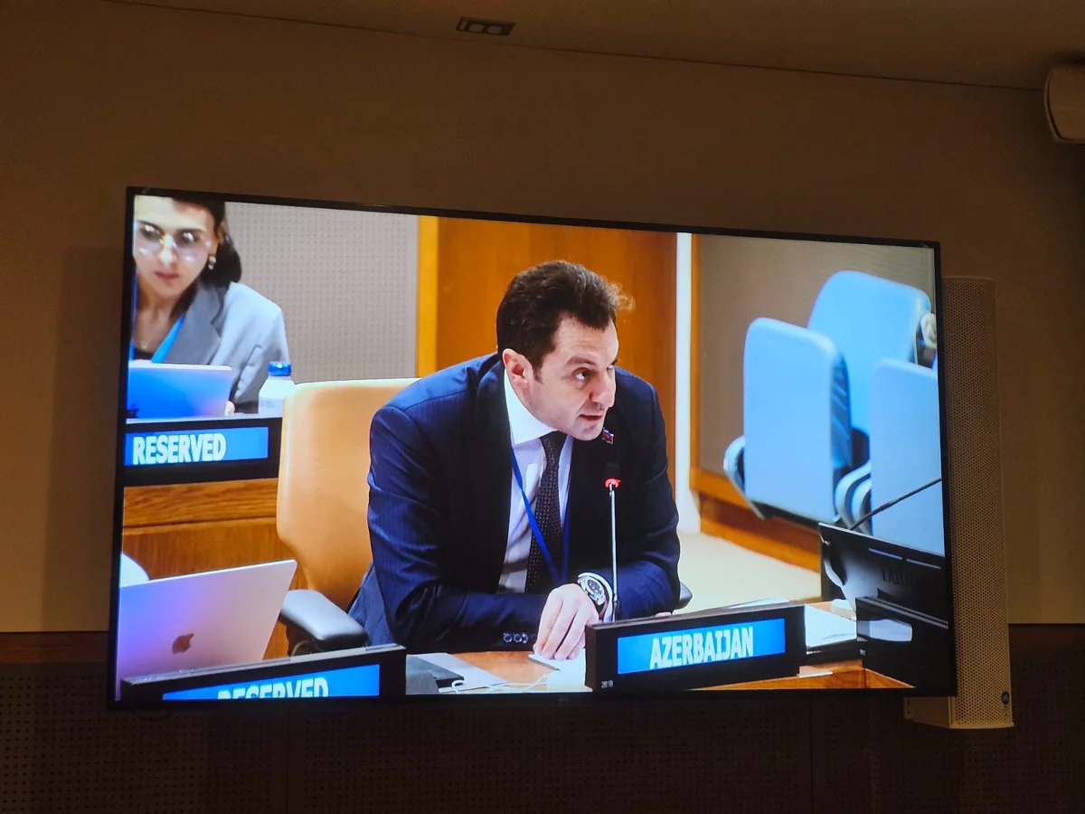 Эльнур Мамедов проинформировал членов ОЭС о приоритетах представительства Азербайджана на COP29