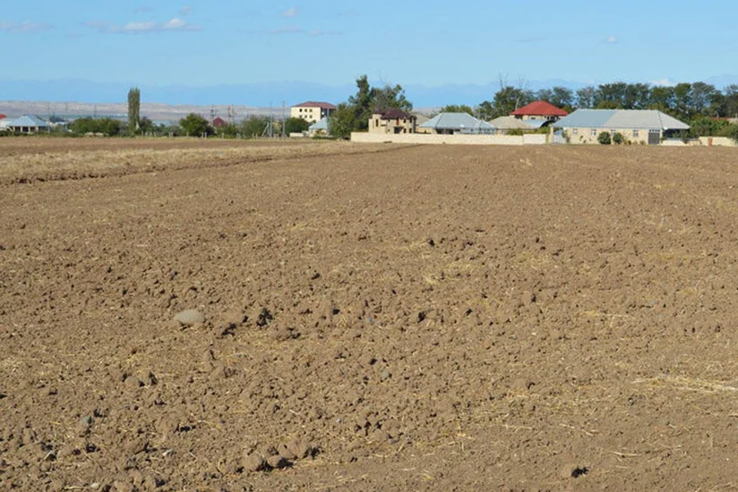 Azərbaycanda ötən il dövlət mülkiyyətinə keçmiş 20 torpaq sahəsi satılıb