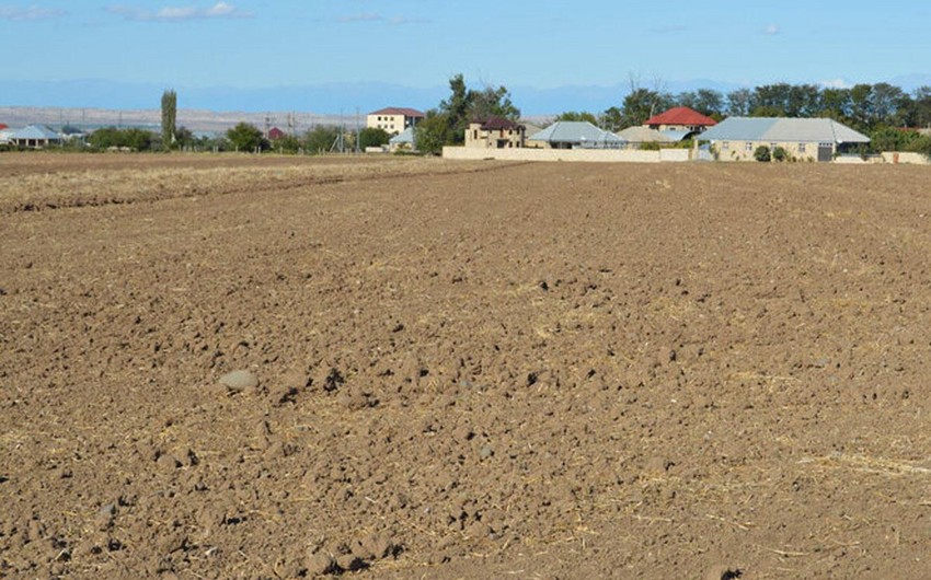 Cəlilabadda pay torpağı üstündə dava olub, xəsarət alanlar var