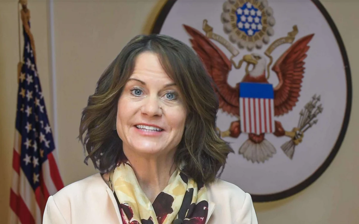 US Ambassador to Georgia steps down