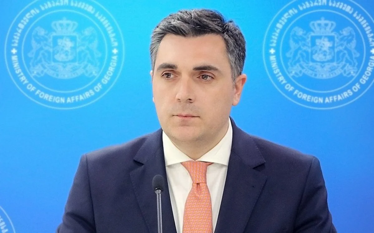 İlya Darçiaşvili: Gürcüstan Azərbaycanla tərəfdaşlığı yüksək qiymətləndirir