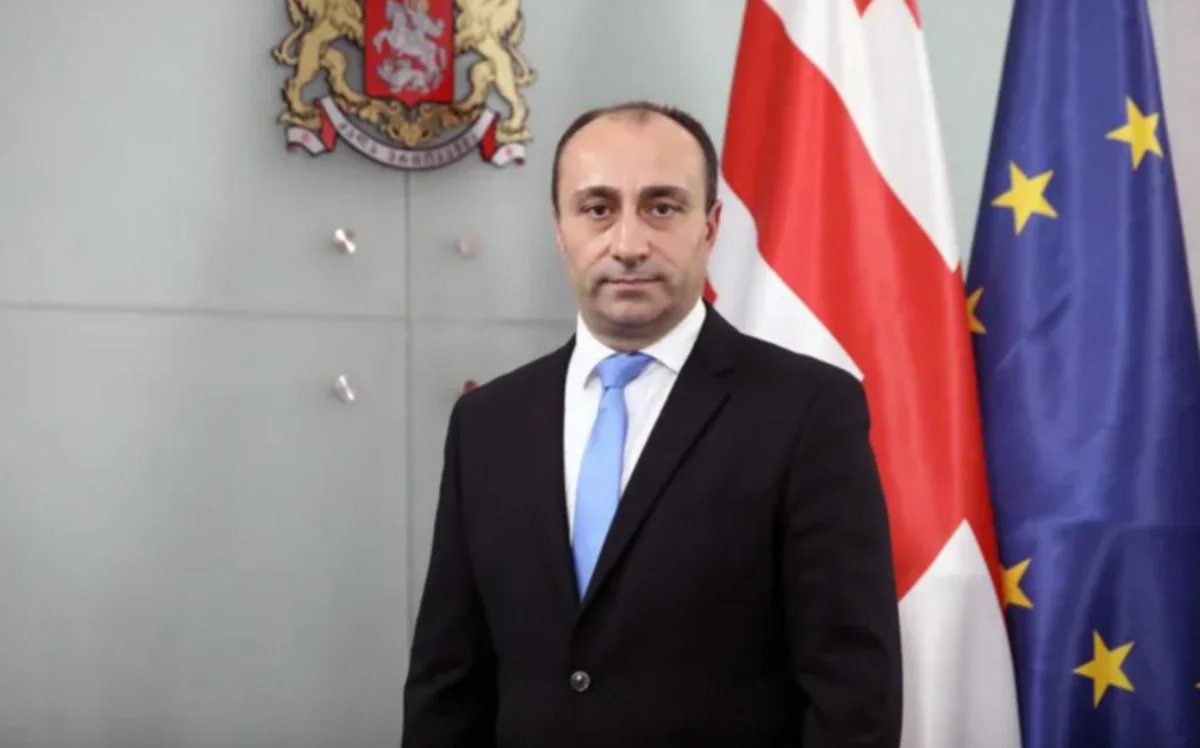 Georgia appoints new minister of internal affairs